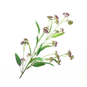 Berry Branch Aubergine