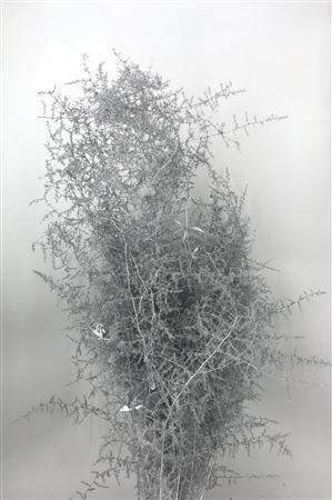 <h4>Asp Klb Silver</h4>