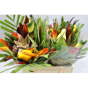 Heliconia A Bqt Petit Rond 566