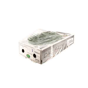 Cat Palm 80 V P