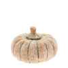 Herfst Deco pompoen d12*8cm