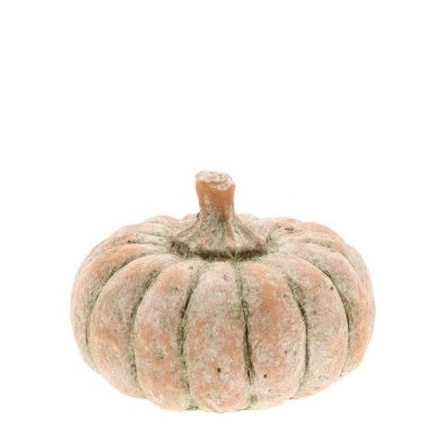 Herfst Deco pompoen d12*8cm