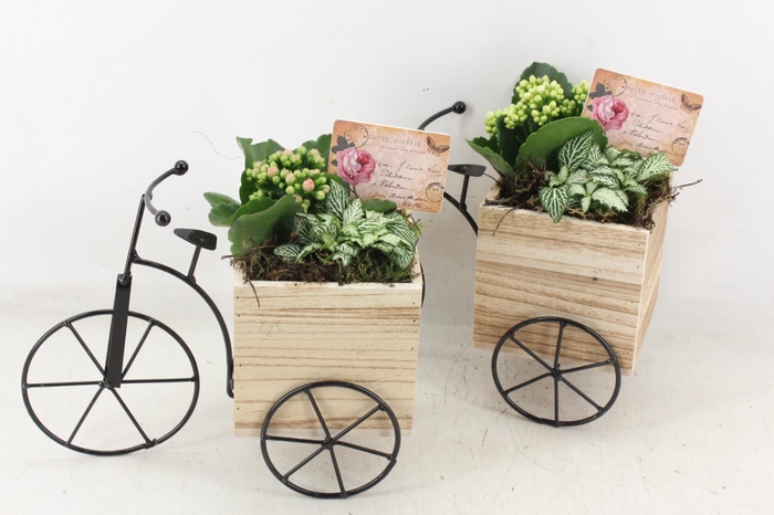 <h4>arr2 TD - Driewieler - roze/wit</h4>