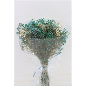 Pres Gypsophila Panic Malibu Bouquet