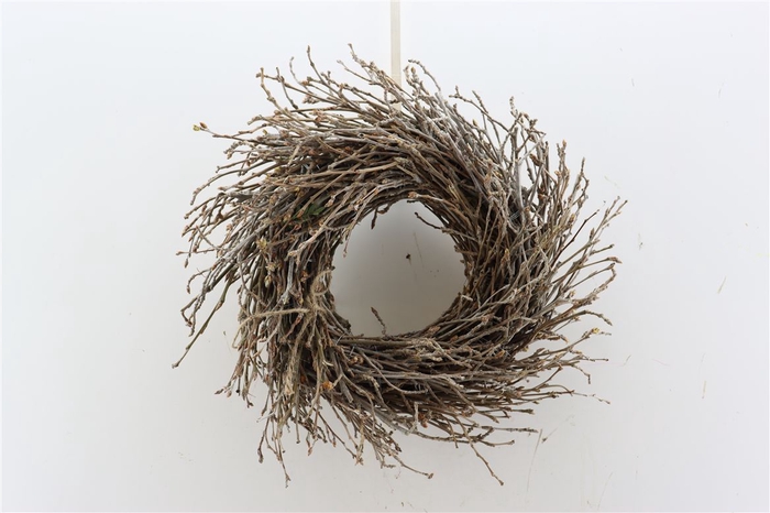 <h4>Wr Wild Willow D30</h4>