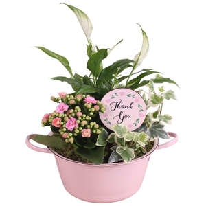 Mothersday Arr. Indoor Zinc Bowl With Handles Pink Ø20cm 3PP