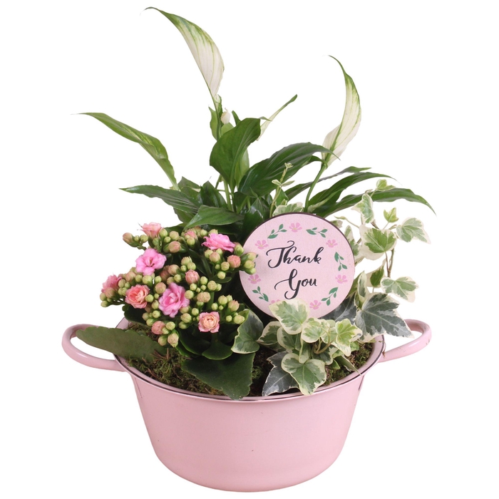 <h4>Mothersday Arr. Indoor Zinc Bowl With Handles Pink Ø20cm 3PP</h4>
