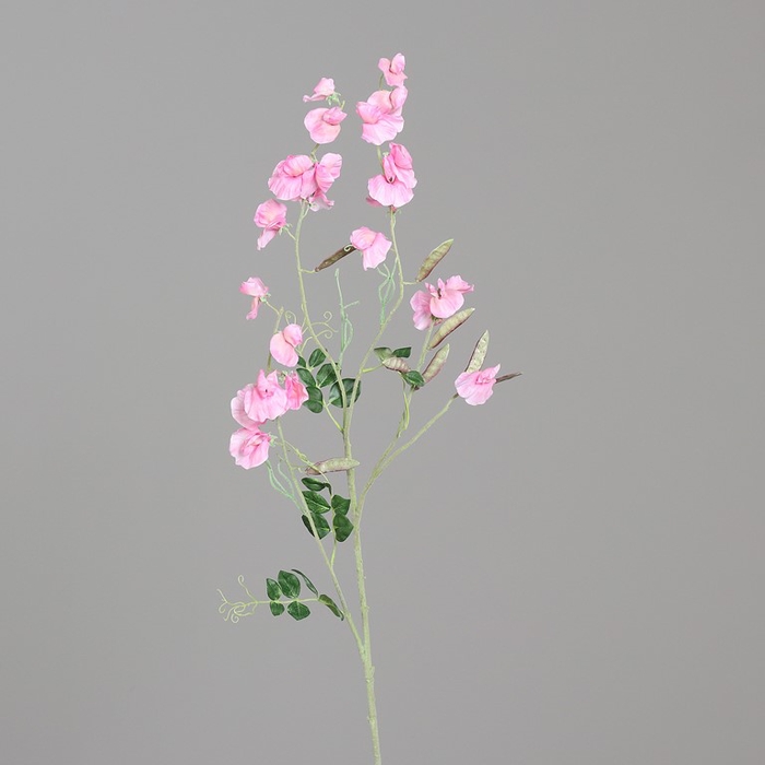 <h4>Vetch 110cm pink</h4>