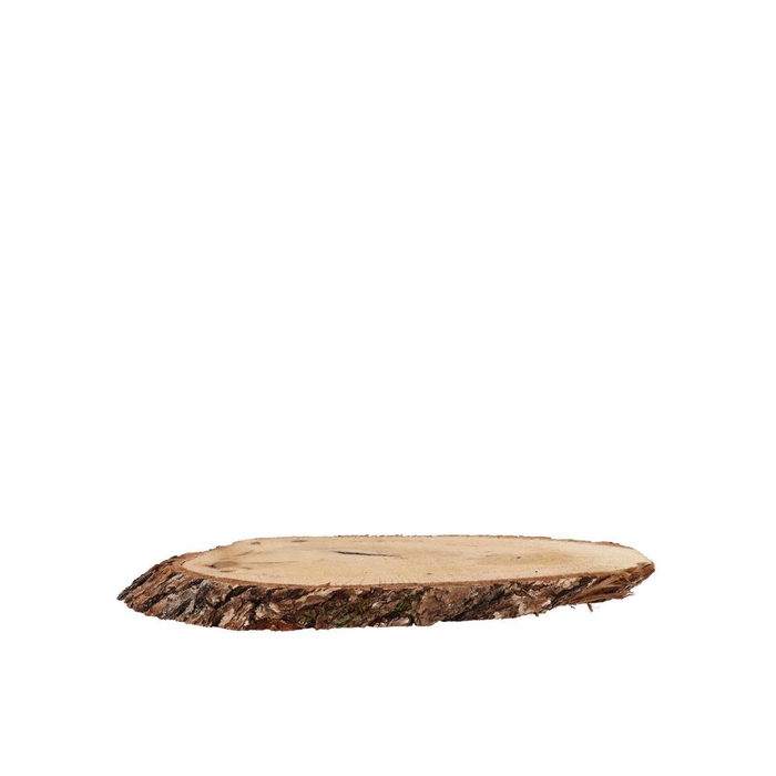 <h4>Nature Oak Slice Oval D9-11cm / L16-21cm X 2cm Nm</h4>
