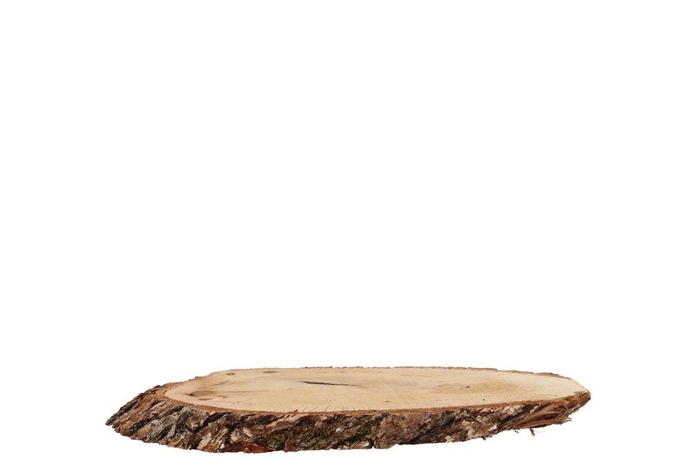 Nature Oak Slice Oval D9-11cm / L16-21cm X 2cm Nm