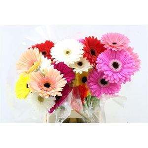 Ge Gr Mixed Plukboeket