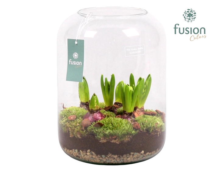 <h4>Green Bottle Isabella XLarge met Hyacinten</h4>