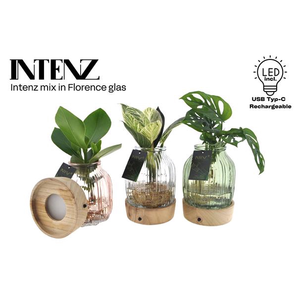 <h4>Intenz mix in Florence glas + LED - levertijd: 24 uur</h4>