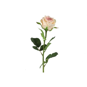 Af Rosa L70cm L.roze