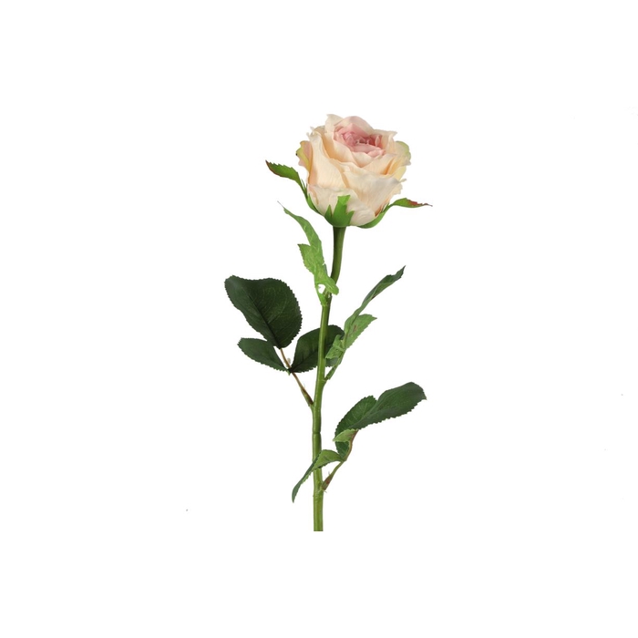 <h4>Af Rosa L70cm L.roze</h4>