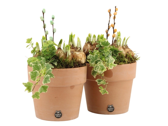 <h4>11671: Outdoor spring arrangement</h4>