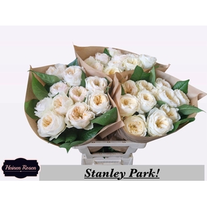 R GR STANLEY PARK!