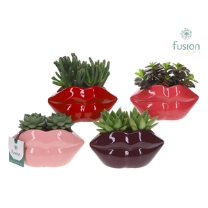 Keramiek Lippen planter met Succulenten