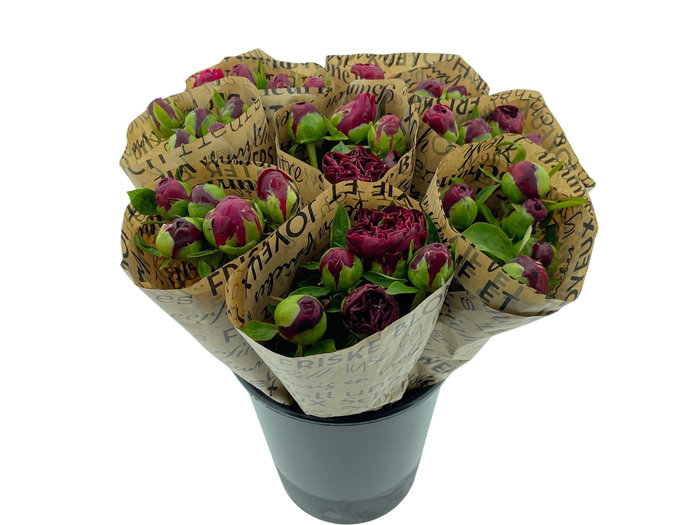<h4>Mono Pioenen Rood x5 in broodpapier</h4>