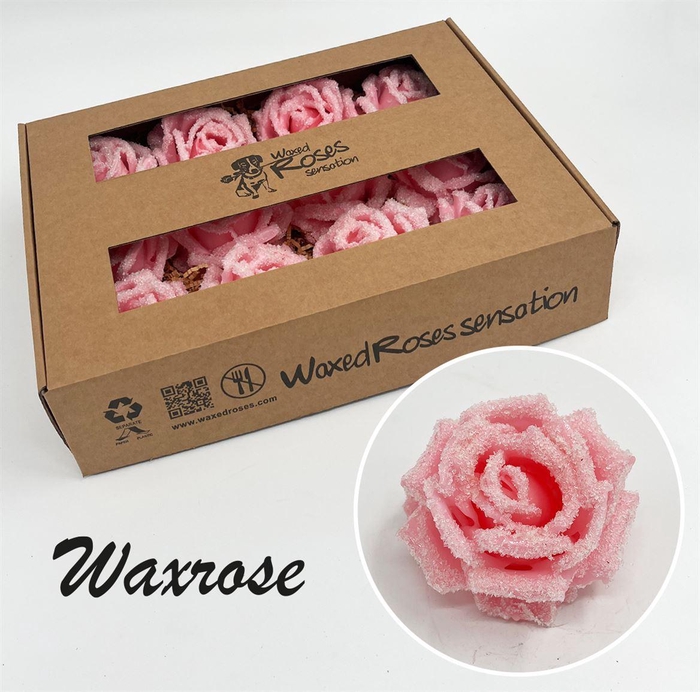 <h4>Zijde R Wx Icy Roze</h4>