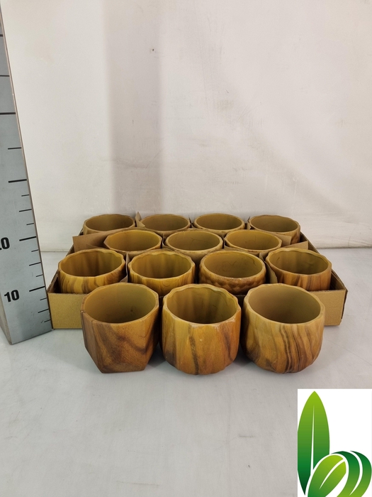 <h4>HUIS EN TUINDECO H%</h4>