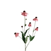 Artificial flowers Echinacea Purpure 65cm