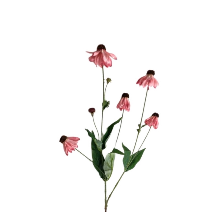 <h4>Kunstbloemen Echinacea Purpure 65cm</h4>