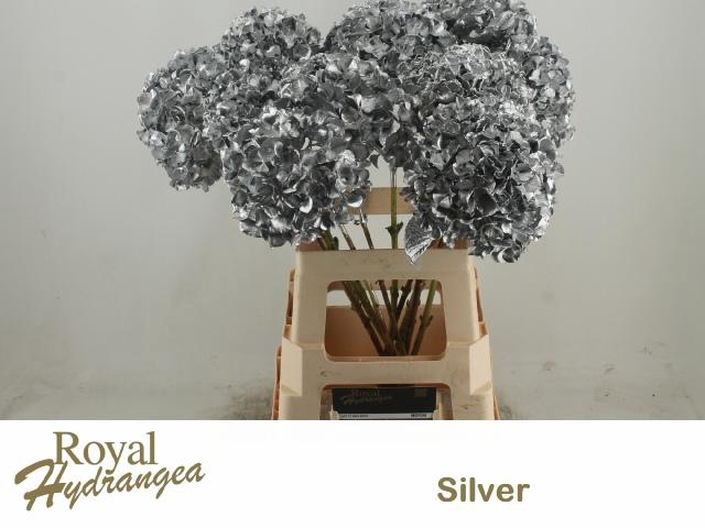 <h4>HYDR OV KLB H%</h4>