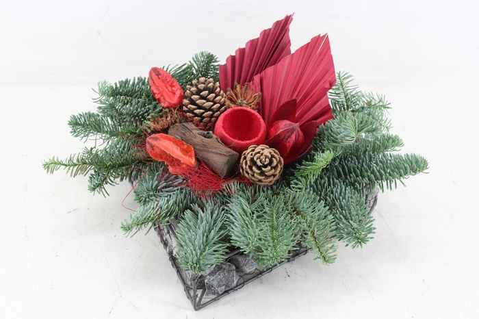 <h4>arr4 Outdoor MB - Allerheiligen hart steen rood</h4>