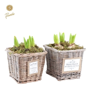 (3410) Hyacint Willow Basket Square [L]