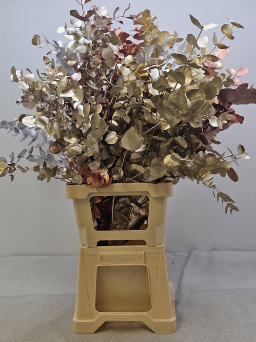 <h4>EUC CINEREA PB VERF METALMIX</h4>