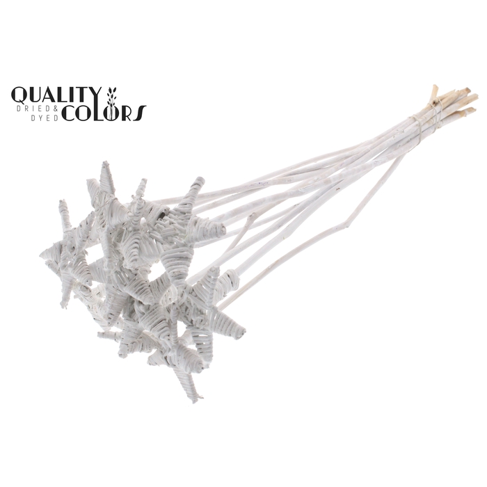 <h4>Lata Star on stem Covered White</h4>