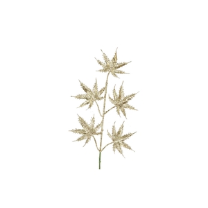 Pick Shine Maple Cozy Gold 44cm Per 12