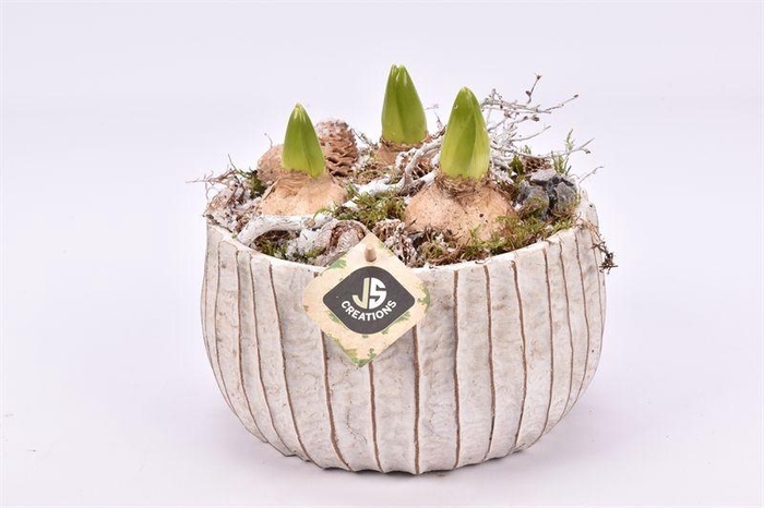 <h4>Cement schaal ribbel ww 22cm</h4>