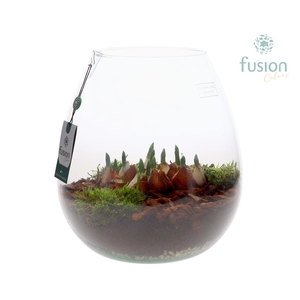 Green Bottle Abby XLarge met Tulp