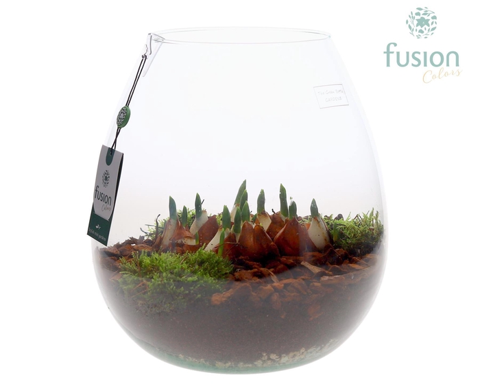 <h4>Green Bottle Abby XLarge met Tulp</h4>