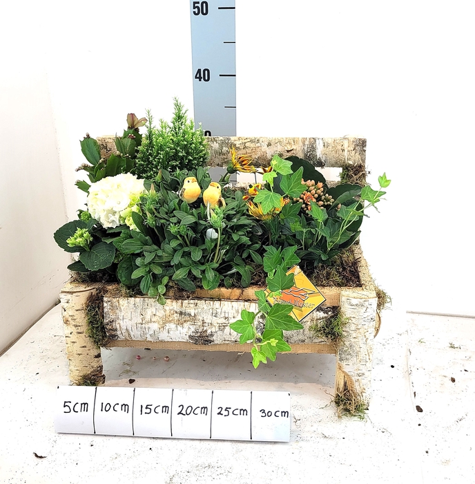 <h4>ARR TUINPLANTEN</h4>