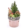 Wilg rand met terra pot 16cm