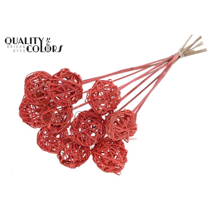<h4>Bruce Ball 5cm on stem Coral</h4>