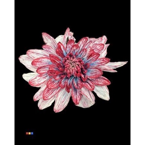 Chr T 2 Kl Baltica Hollandia