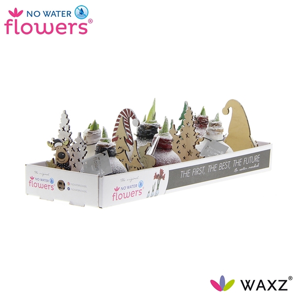 <h4>Hipp Waxz Winter Wonderland Mix</h4>