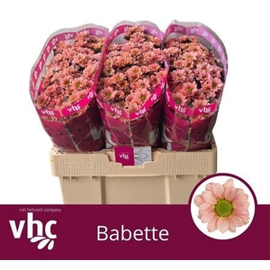 Chr S Babette