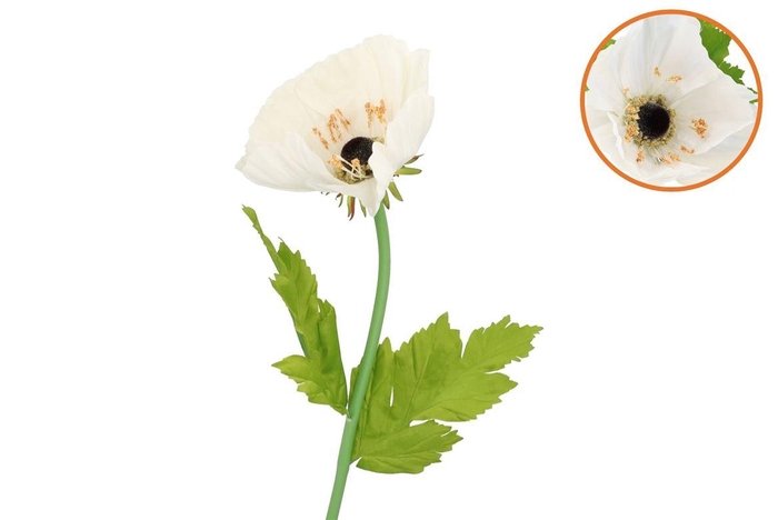 <h4>Silk Amazing Poppy Beauty Cream Xxxl 55x155cm</h4>