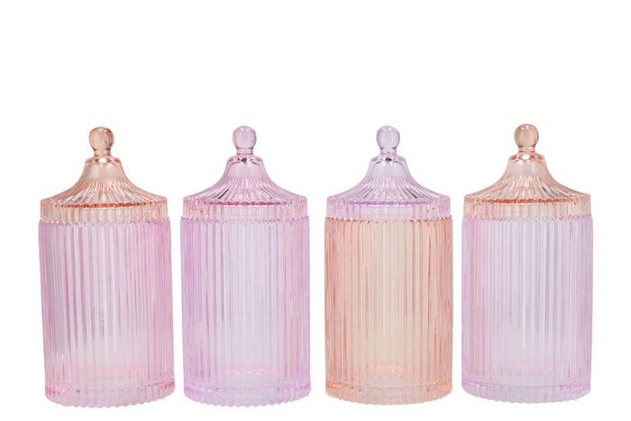 <h4>Bicolore Dreamy Pastel Mix Jars Ass 11x22cm</h4>