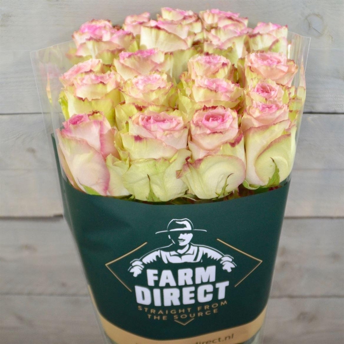 <h4>R Gr Esperance</h4>