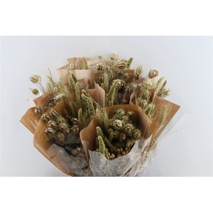 Dried Bouquet Naturel