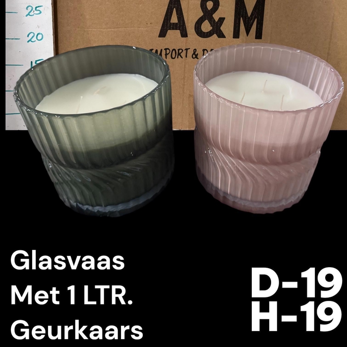 <h4>HUIS EN TUINDECO H%</h4>