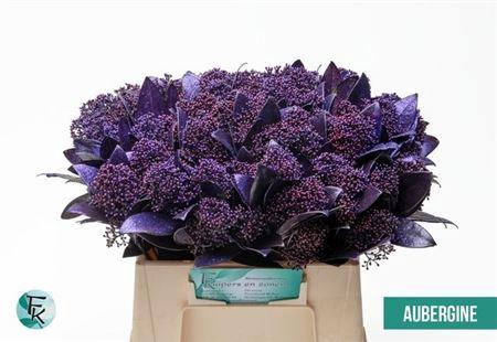 <h4>Skim Ov Bs Klb Aubergine</h4>