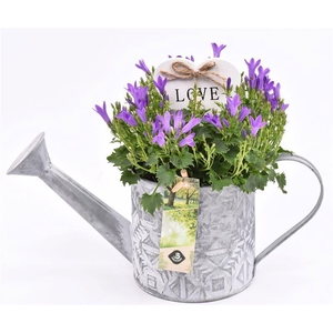 Zink gieter mix grijs 11cm