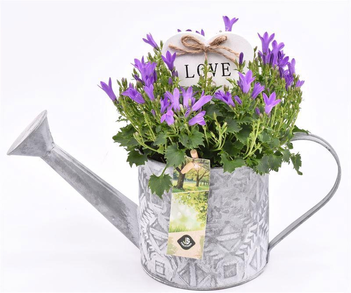 <h4>Zink gieter mix grijs 11cm</h4>